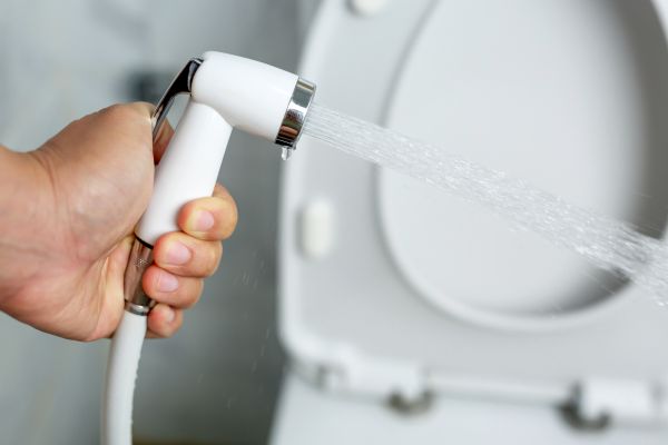 Bidet Installation in Saint Petersburg
