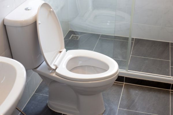 Toilet Replacement in Saint Petersburg