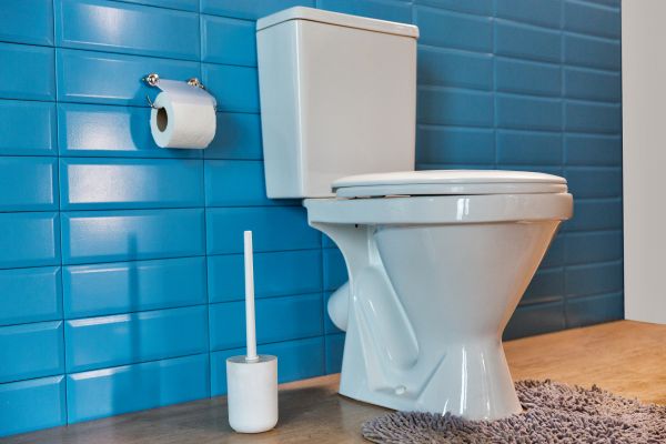 Cost of Toilet Tank Repair in Saint Petersburg